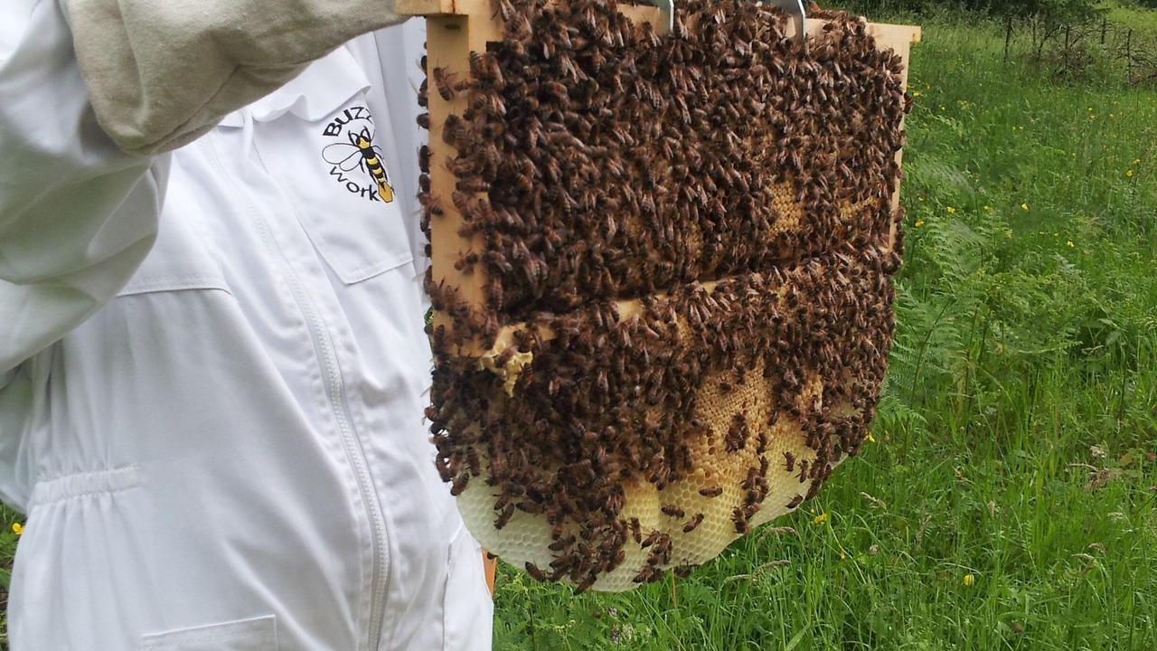 Photo of Outdoor in Confolens