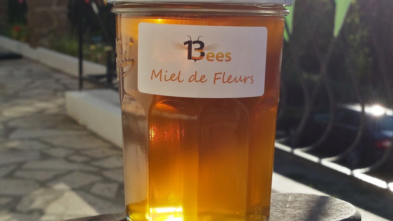 Photo of Others in Confolens