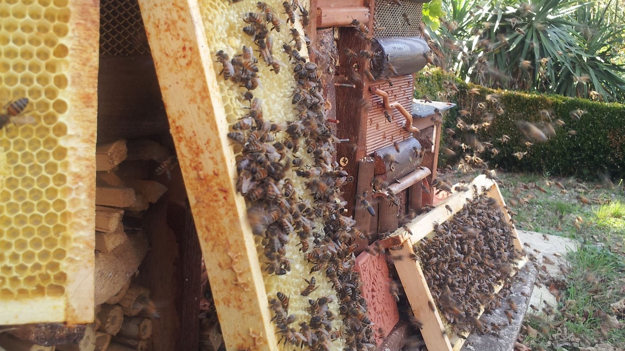 Photo of Outdoor in Confolens