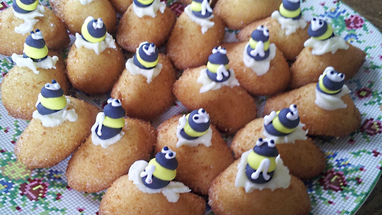 Photo of Others in Confolens