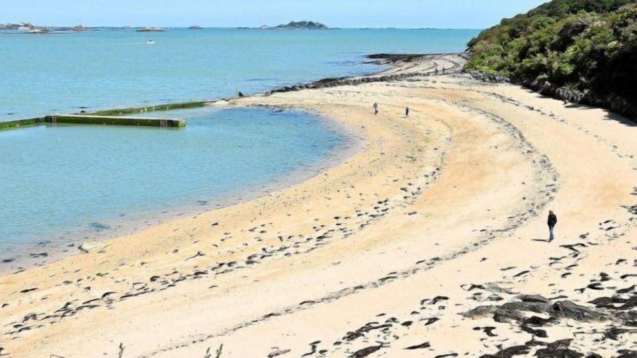 Photo of Others in Paimpol