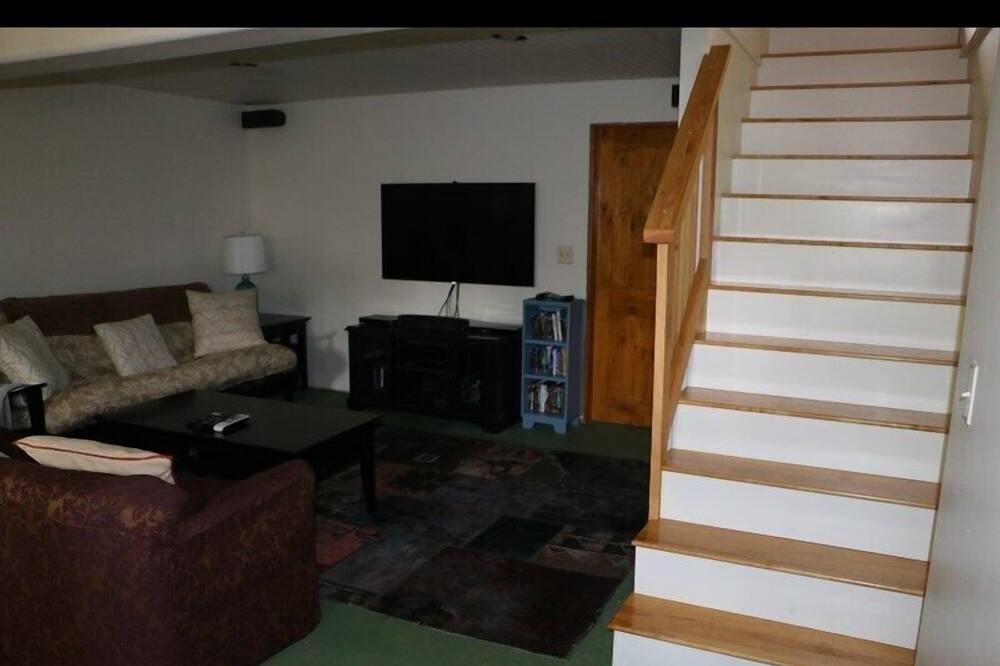 Photo of Livingroom in Minturn