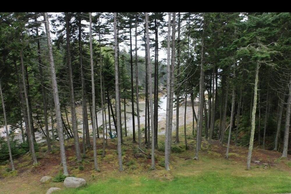 Photo of Outdoor in Minturn