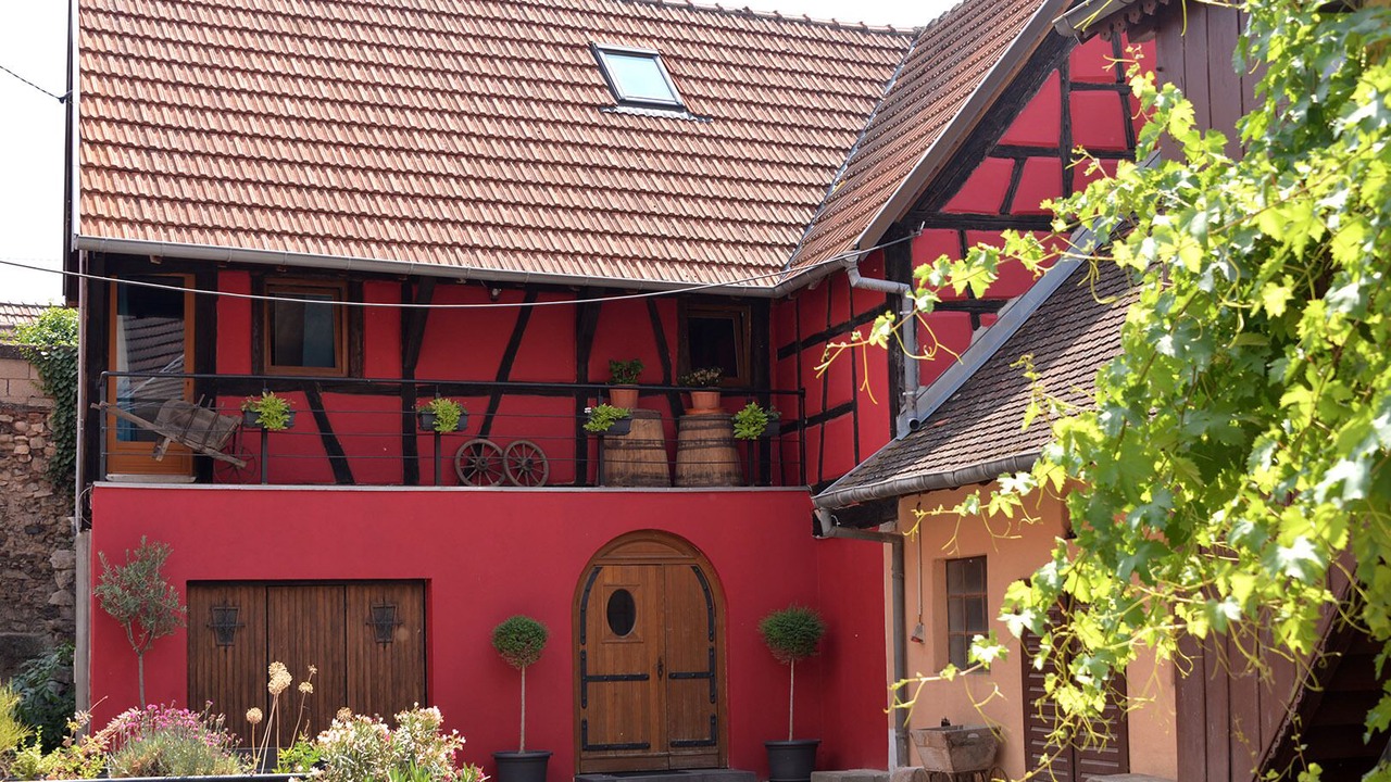 Photo of Outdoor in Ingersheim