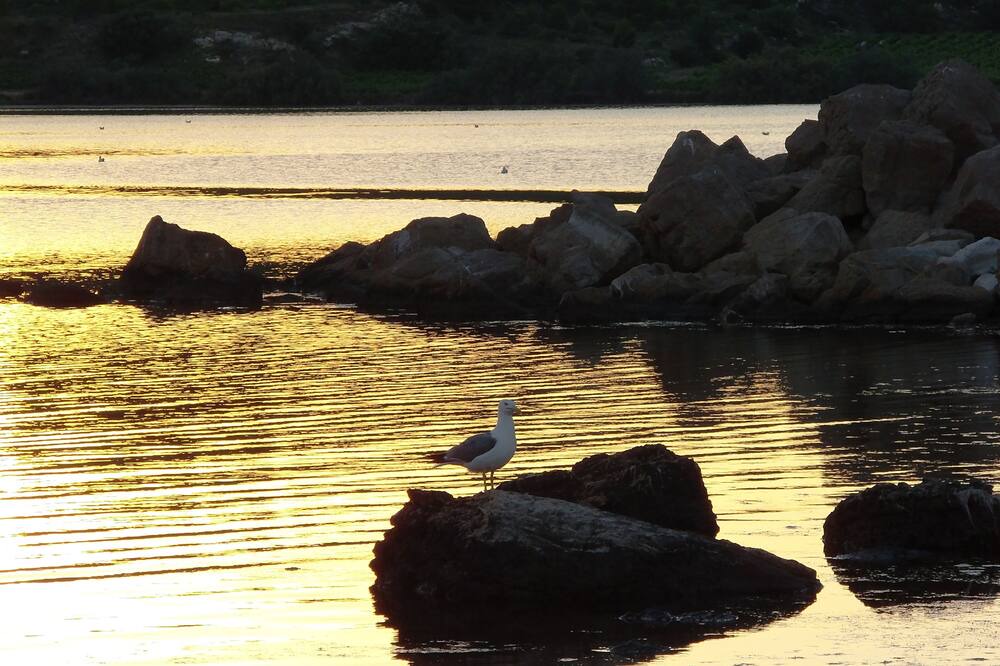 Photo of Others in Peyriac-de-Mer