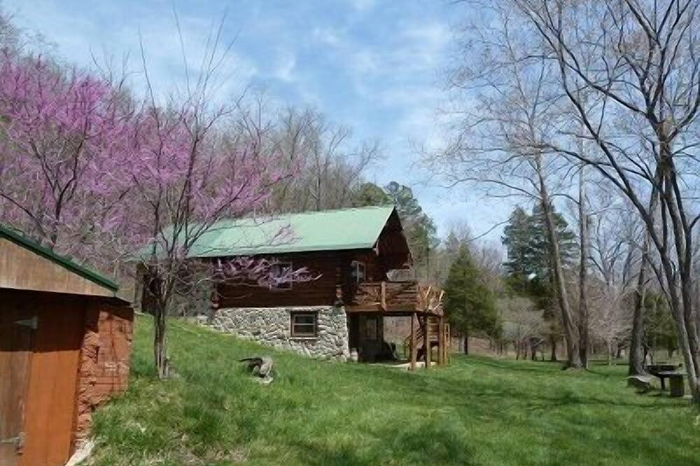 Photo of Outdoor in Lodi