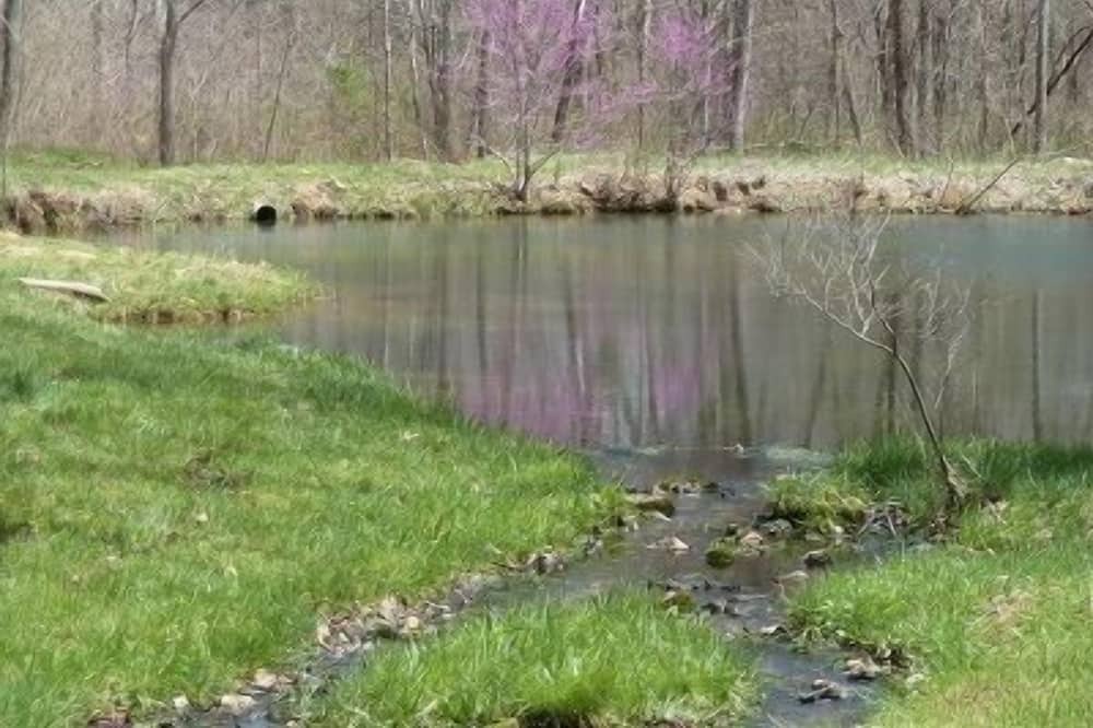 Photo of Others in Lodi