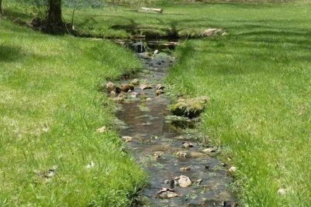 Photo of Outdoor in Lodi