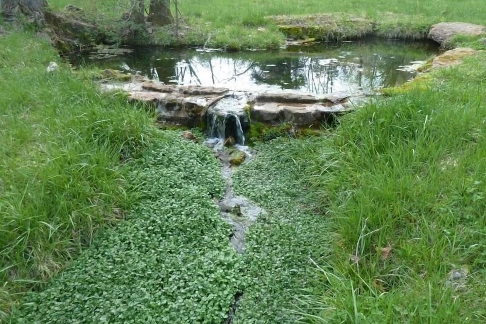 Photo of Others in Lodi