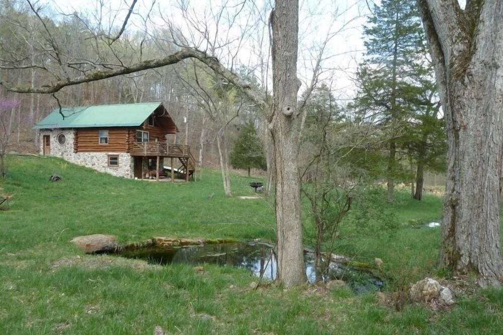 Photo of Others in Lodi