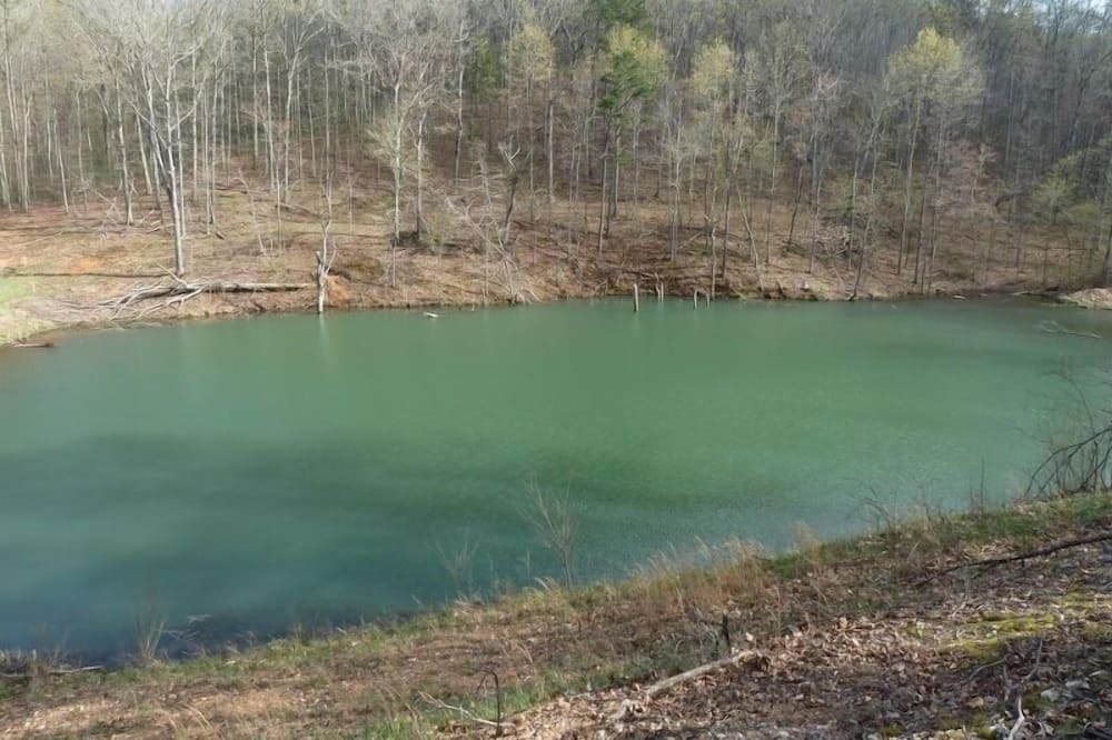 Photo of Outdoor in Lodi