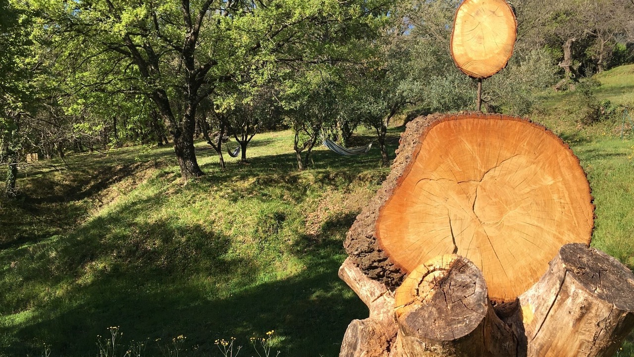 Photo of Outdoor in La Garde-Freinet