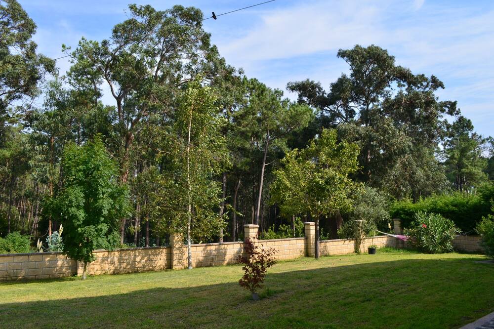 Photo of Outdoor in Somo