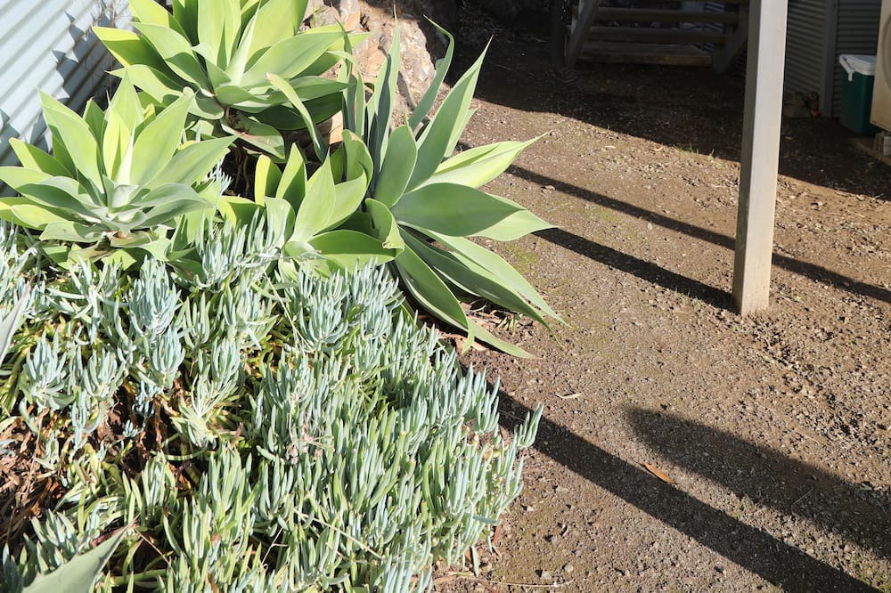 Photo of Outdoor in Penneshaw