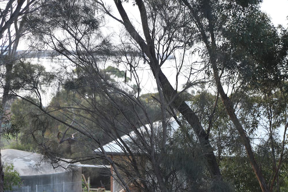 Photo of Outdoor in Penneshaw