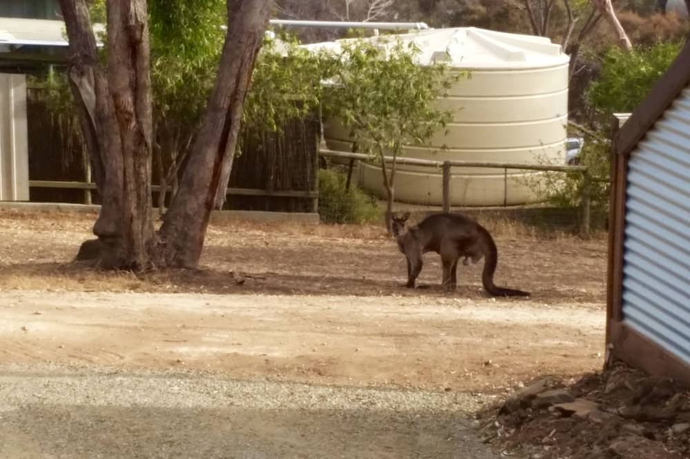 Photo of Outdoor in Penneshaw