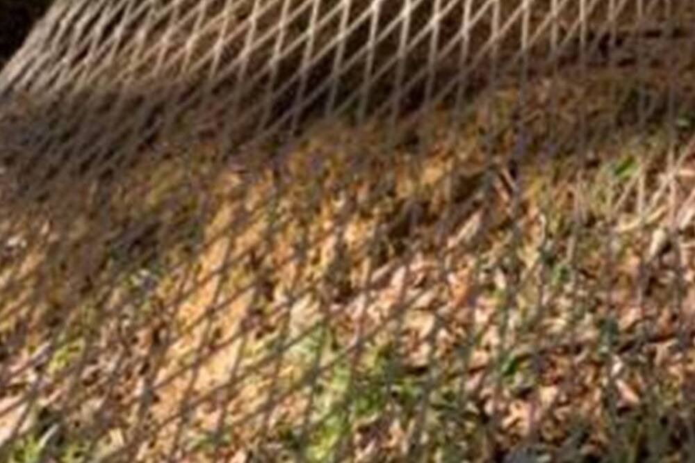 Photo of Outdoor in Hepburn