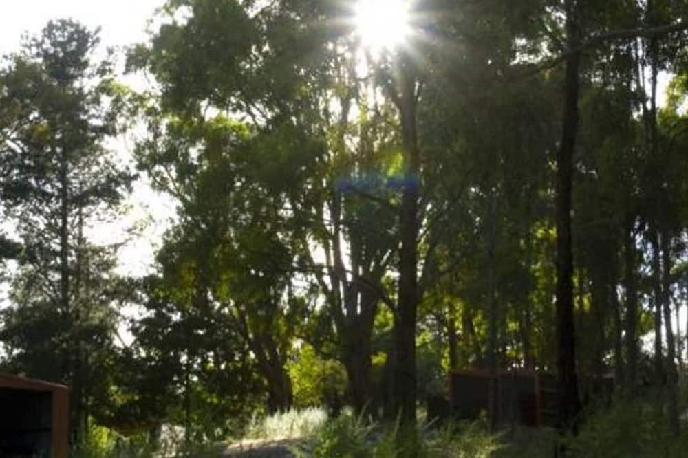 Photo of Outdoor in Hepburn