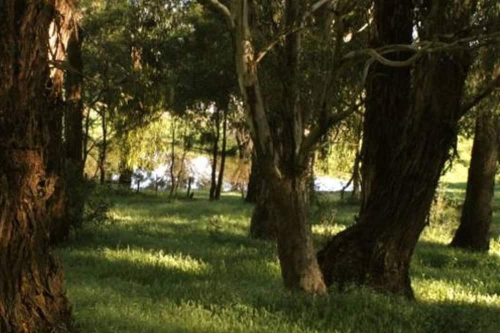 Photo of Outdoor in Hepburn