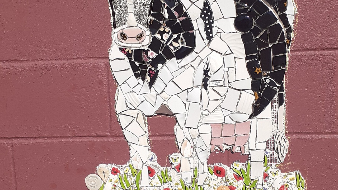 Photo of Others in Myrtleford