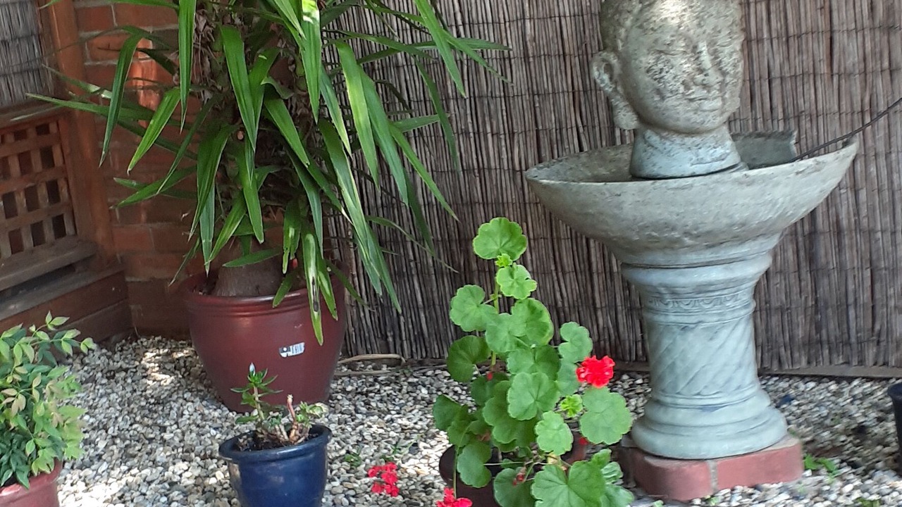 Photo of Outdoor in Myrtleford