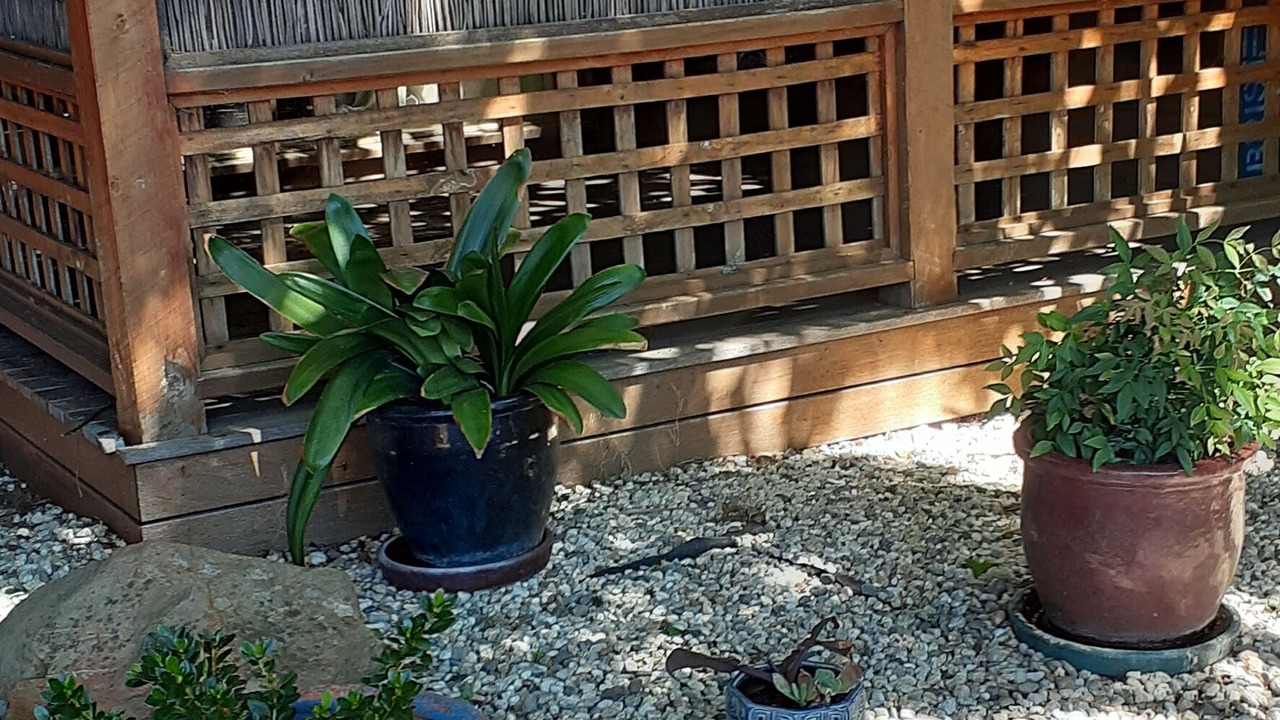 Photo of Outdoor in Myrtleford