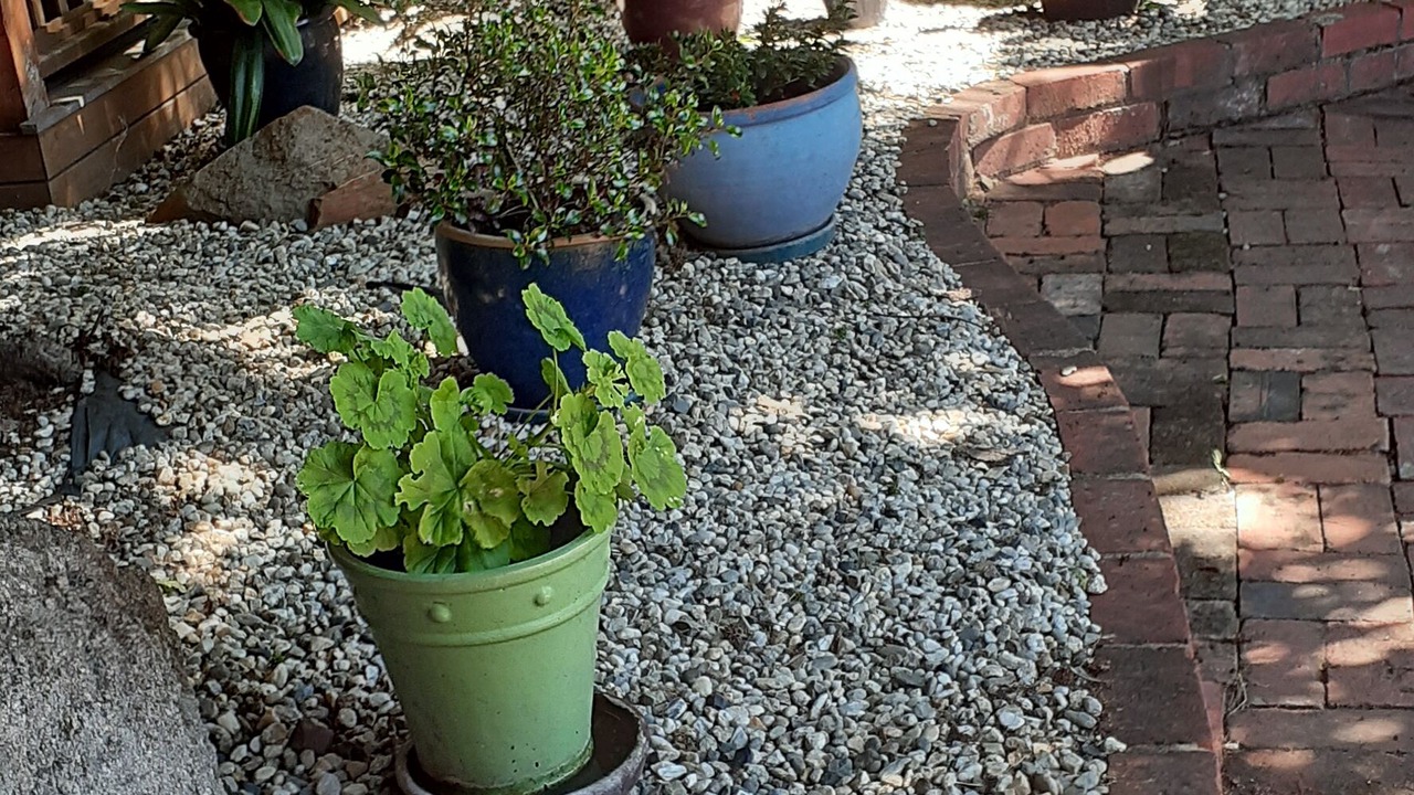 Photo of Patio Balcony in Myrtleford