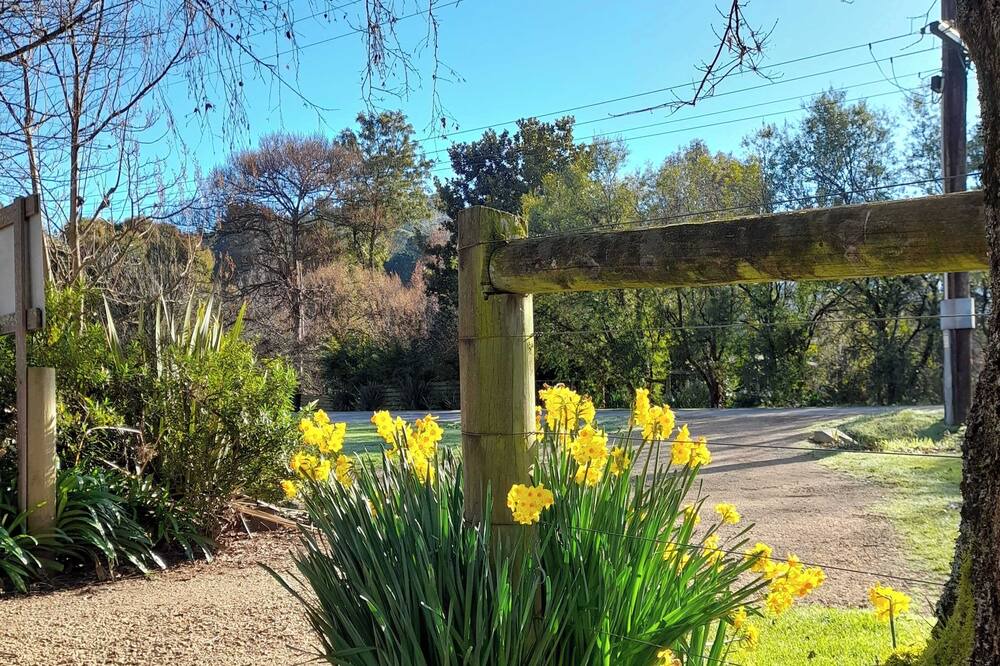 Photo of Outdoor in Jamieson