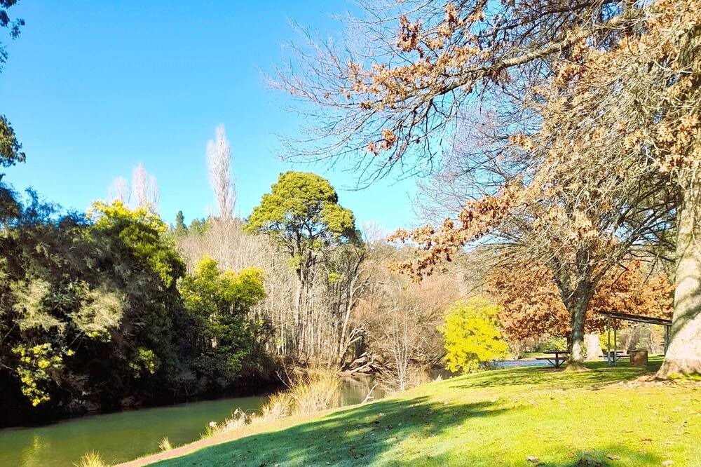 Photo of Others in Jamieson