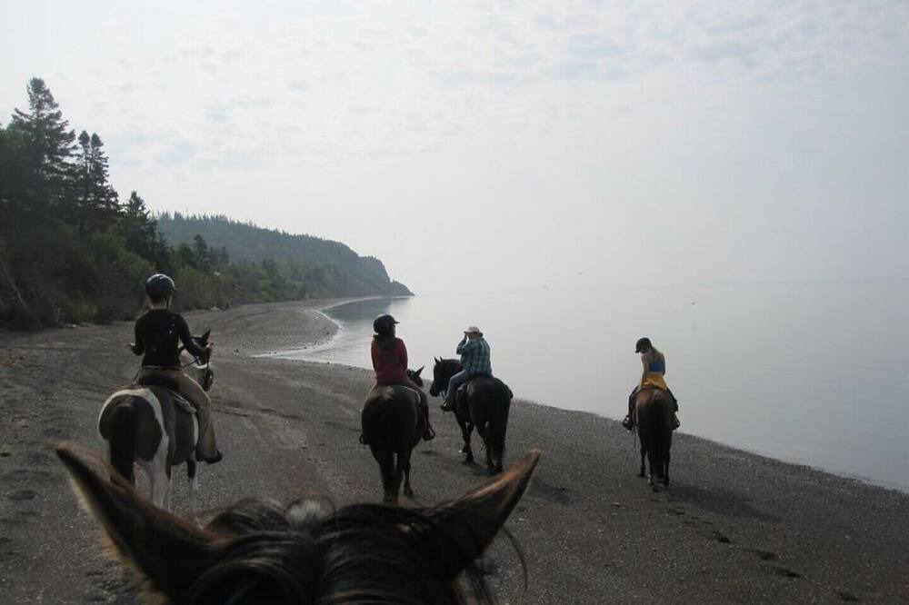 Photo of Others in Parrsboro