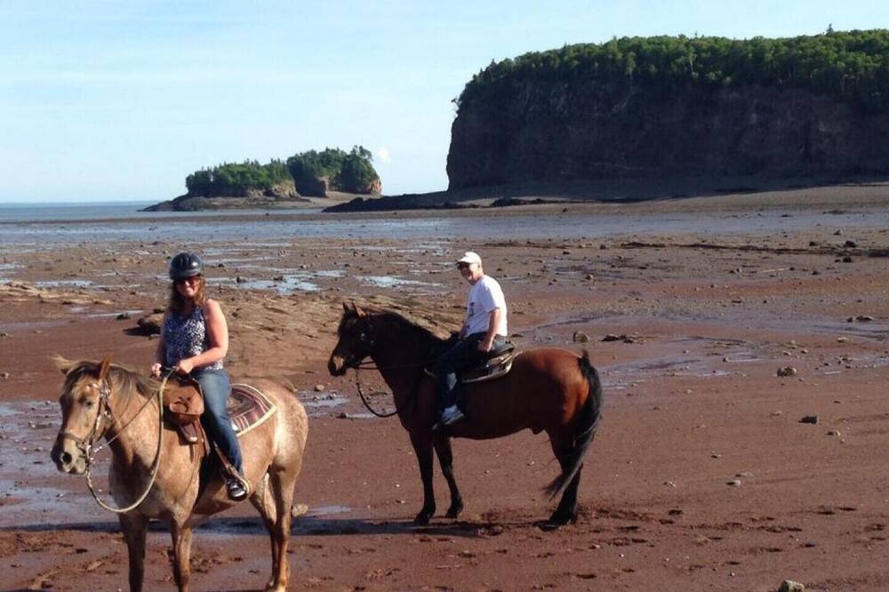 Photo of Others in Parrsboro