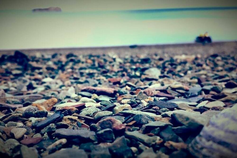 Photo of Others in Parrsboro