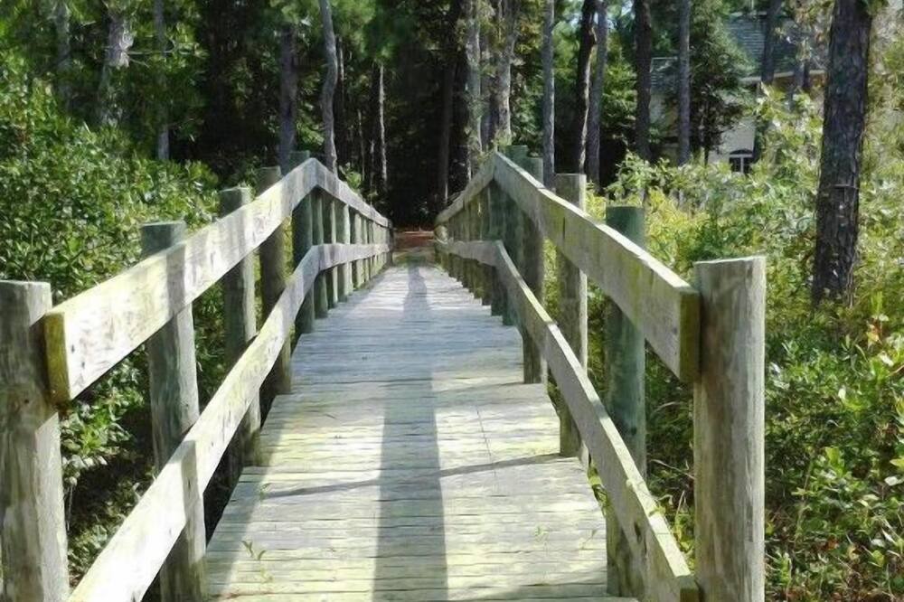 Photo of Others in Bay Ridge