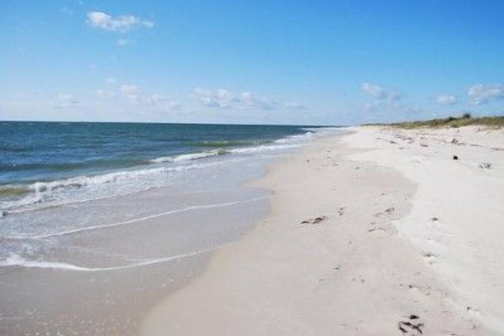 Photo of Others in Bay Ridge