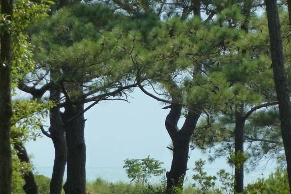 Photo of Others in Bay Ridge