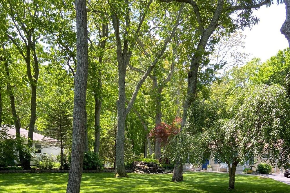 Photo of Outdoor in Mattituck