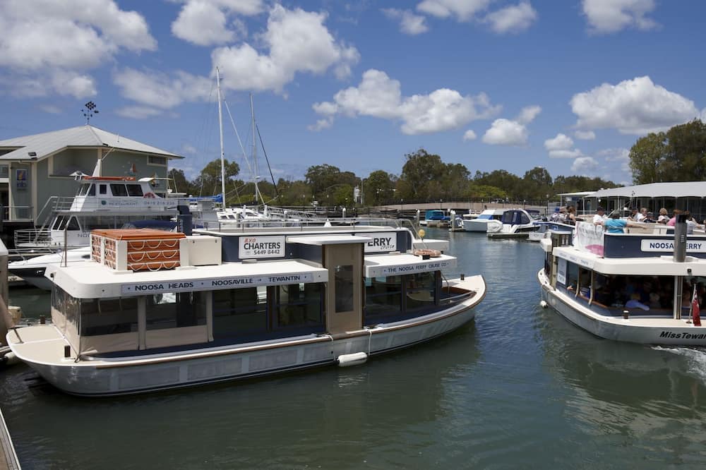 Photo of Others in Tewantin