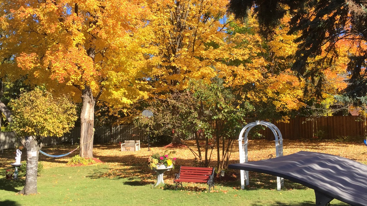 Photo of Outdoor in Agincourt