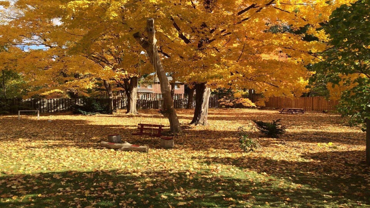 Photo of Outdoor in Agincourt