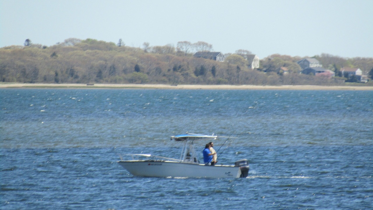 Photo of Others in Fairhaven