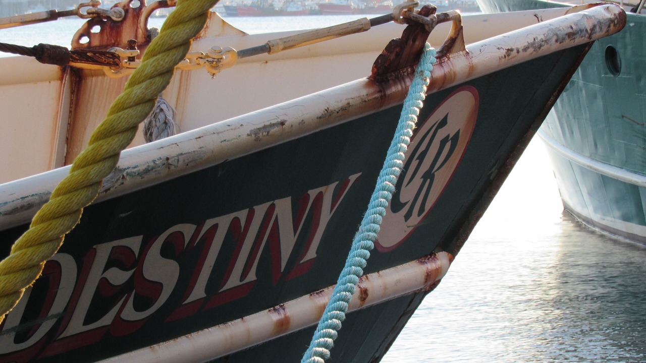 Photo of Outdoor in Fairhaven