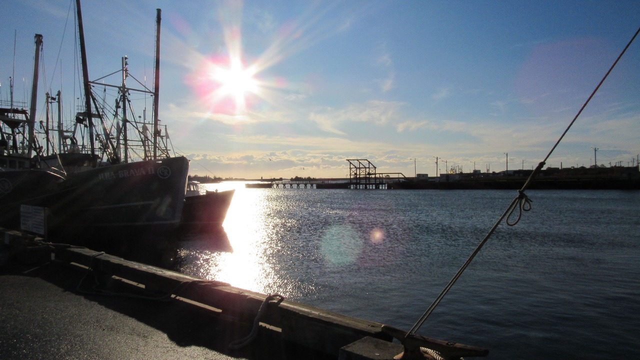 Photo of Others in Fairhaven