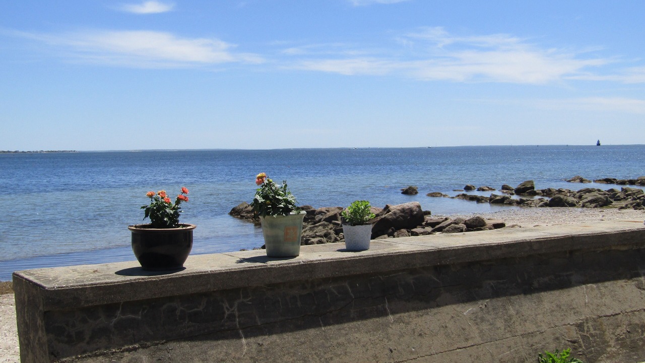 Photo of Outdoor in Fairhaven