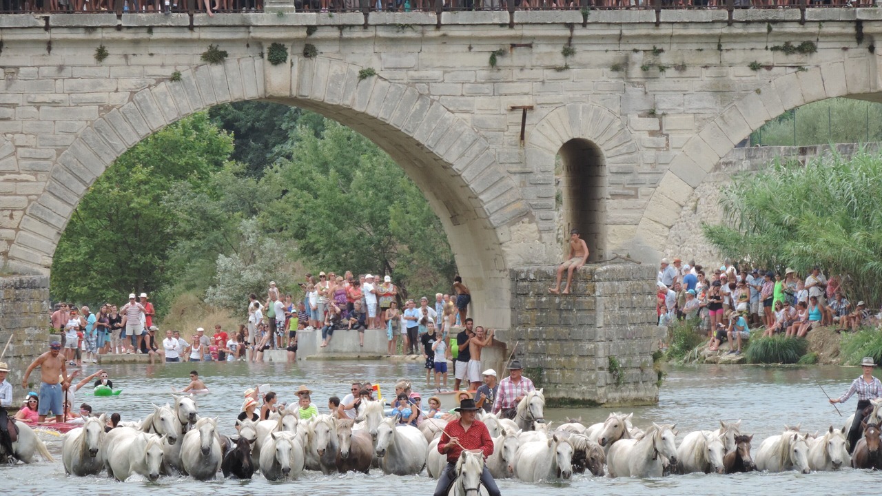 Photo of Others in Sommieres