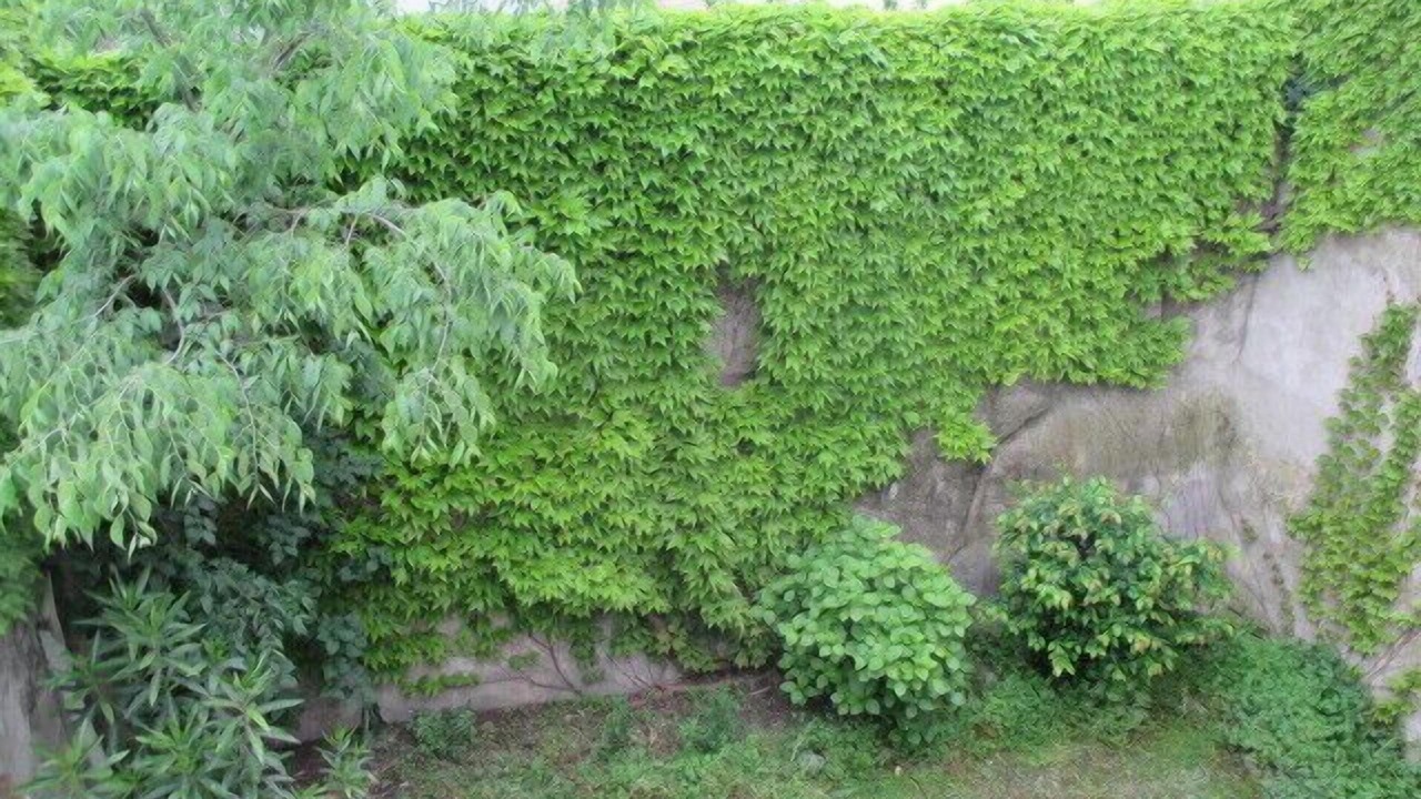 Photo of Outdoor in Sommieres