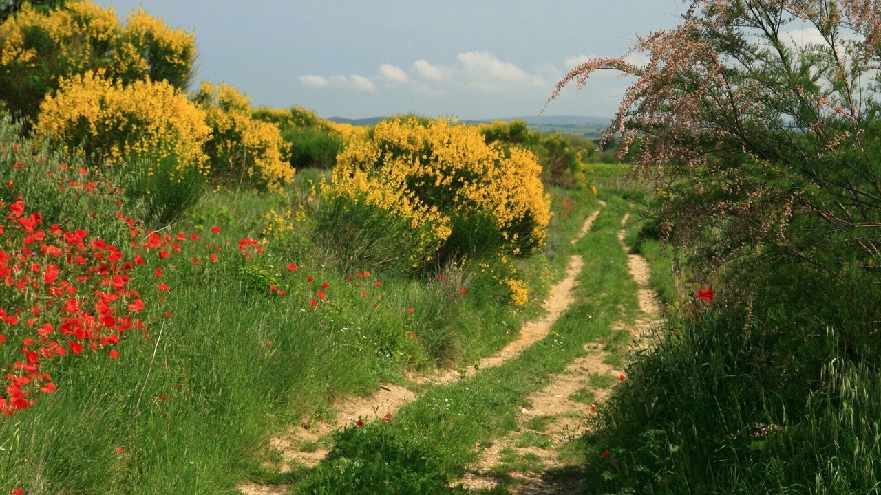 Photo of Outdoor in Capestang