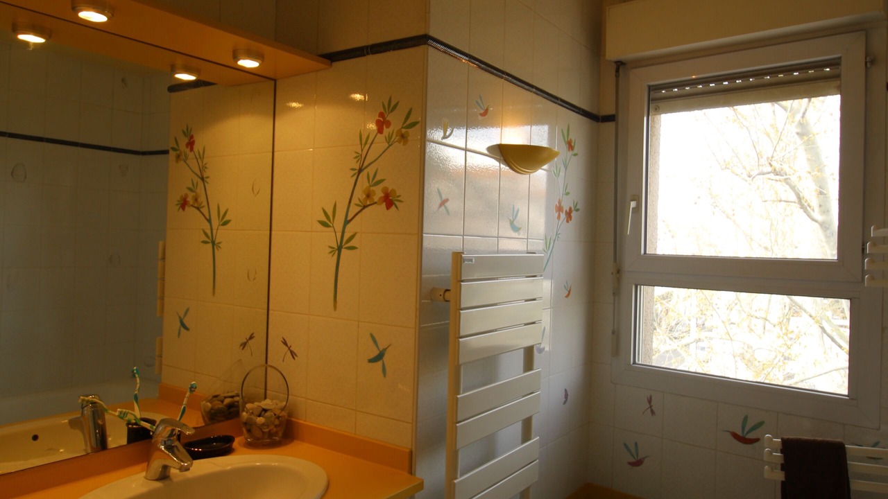 Photo of Others in Saint-Martin