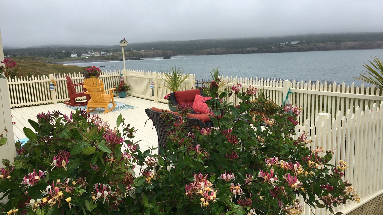 Photo of Outdoor in Western Bay