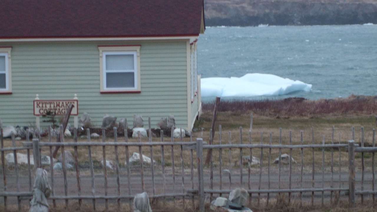 Photo of Outdoor in Western Bay