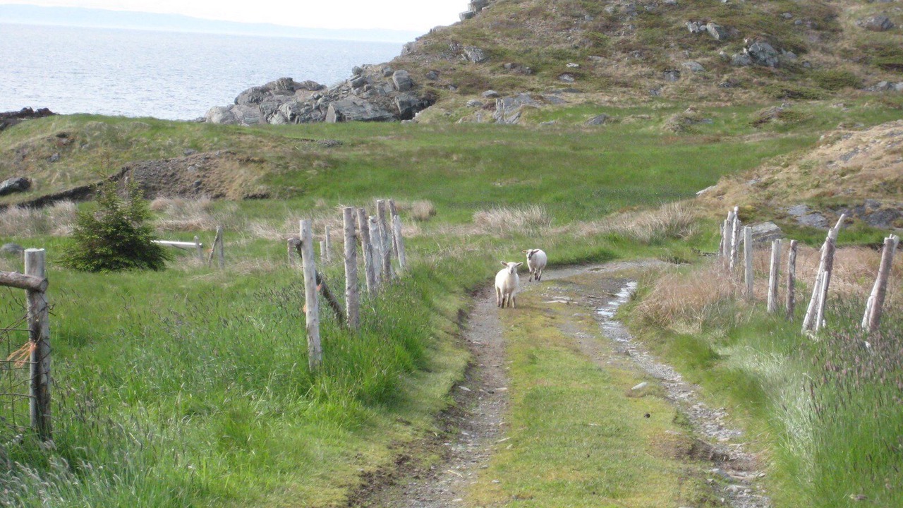 Photo of Outdoor in Western Bay